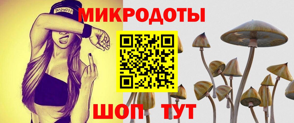 Галлюциногенные грибы прущие грибы  Вход с VPN  Галлюциногенные грибы MAGIC MUSHROOMS  Новороссийск 